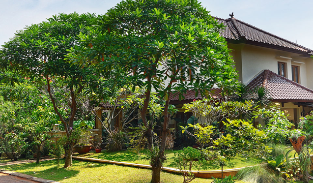 menanam pohon di taman rumah