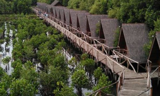 Hutan Mangrove Buat Piknik