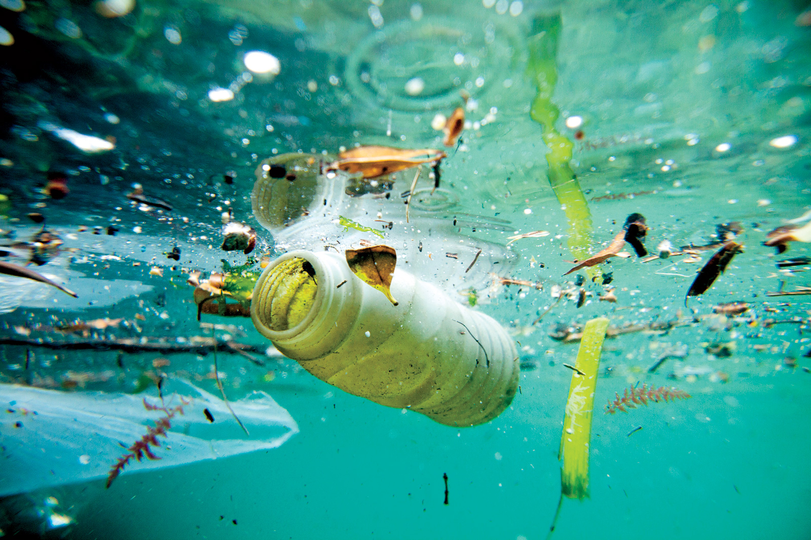 15 Cara Mengurangi Sampah Plastik di Kehidupan Sehari-hari dengan Mudah | Yuk Selamatkan Bumi!