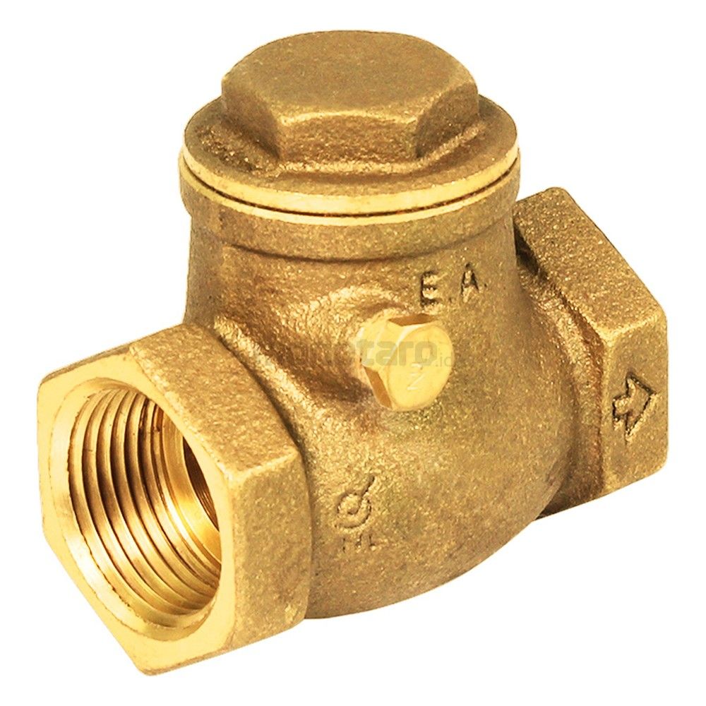 Check Valve