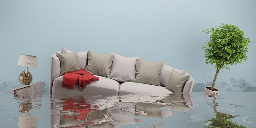 9 Cara Ini Bikin Rumah Kamu Bebas Banjir dan Aman Saat Musim Hujan!