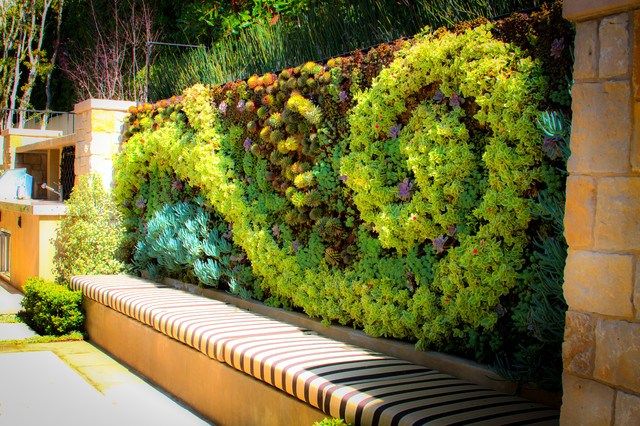 Living wall yang dibuat berbentuk