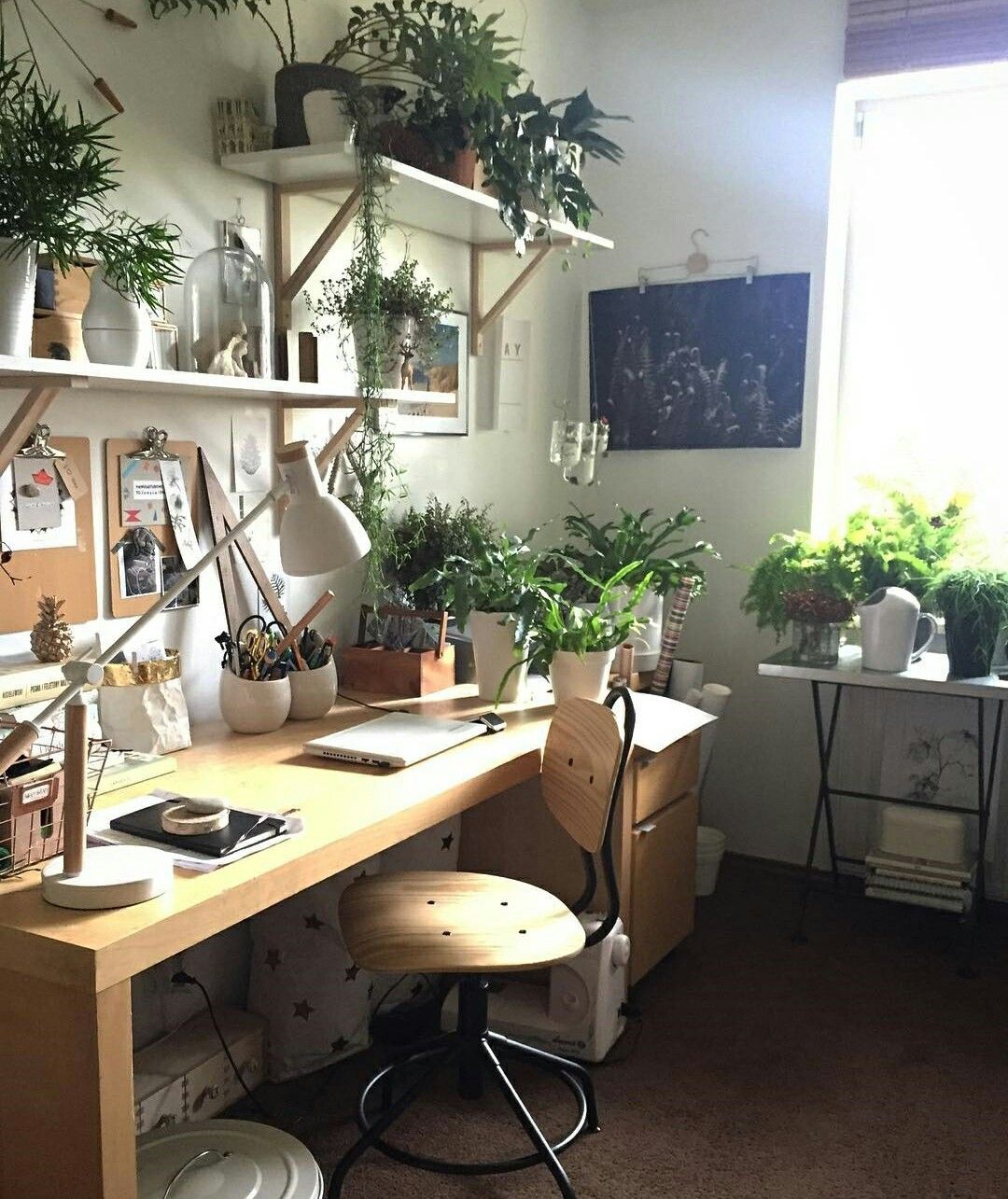 tanaman di meja belajar