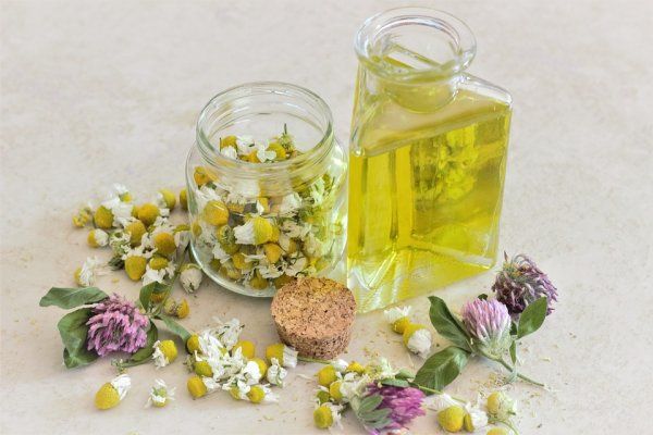 aroma pengharum ruangan chamomile