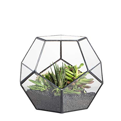 pot terarium