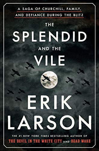 Rekomendasi buku 2020 - The Splendid and the Vile