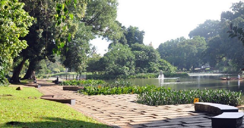 Kangen Piknik Bersama Keluarga? Kunjungi 7 Tempat Piknik di Jakarta sampai Bogor!