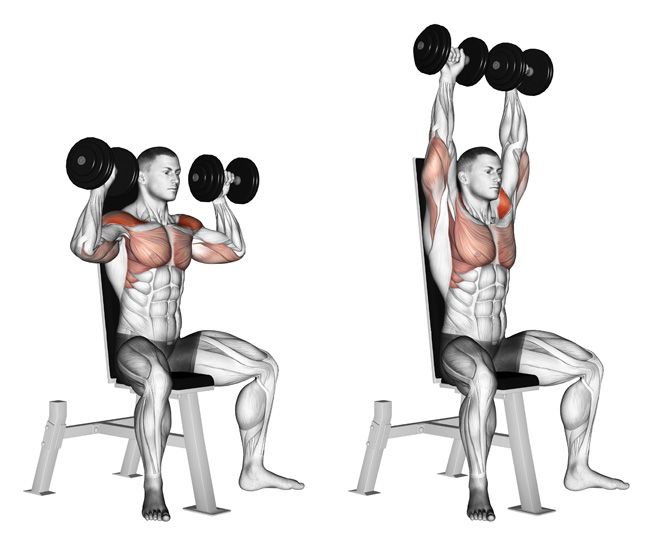 shoulder press