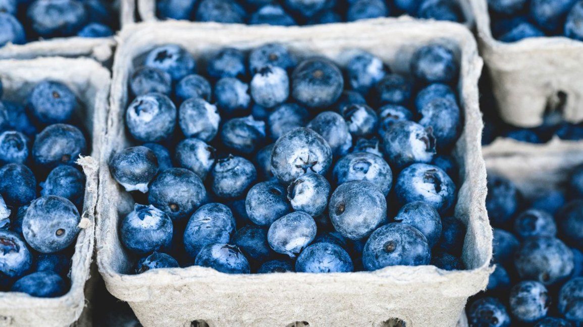 blueberry cocok dikonsumsi untuk kulit sehat