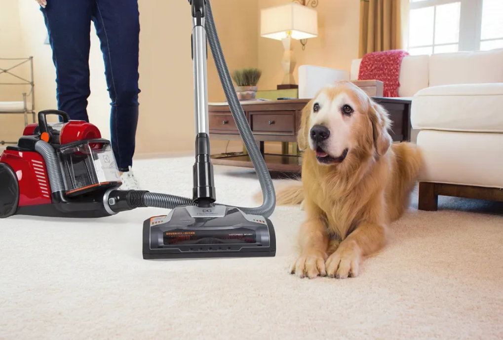tips menciptakan rumah ramah hewan - bersihkan bulu dengan vacuum cleaner