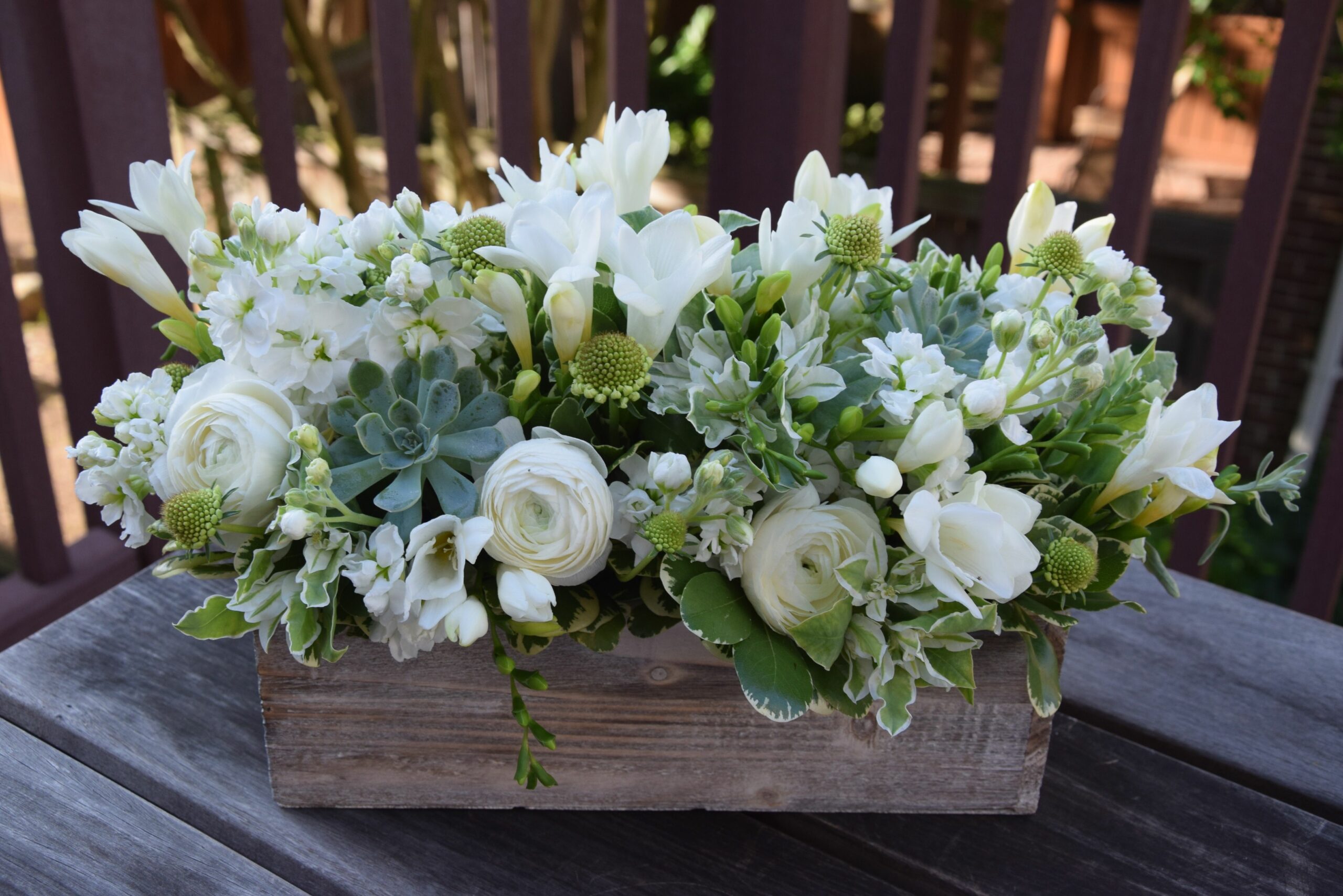 10 Jenis Bunga Warna Putih Yang Cantik Untuk Hiasan Rumah