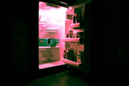 simpan makanan di kulkas