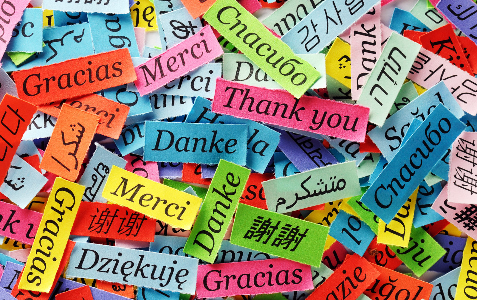 10 Aplikasi untuk Belajar Bahasa Asing Secara Online | Banyak yang Gratis Juga, Lho!