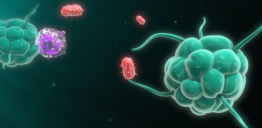 imun-terhadap-virus-corona