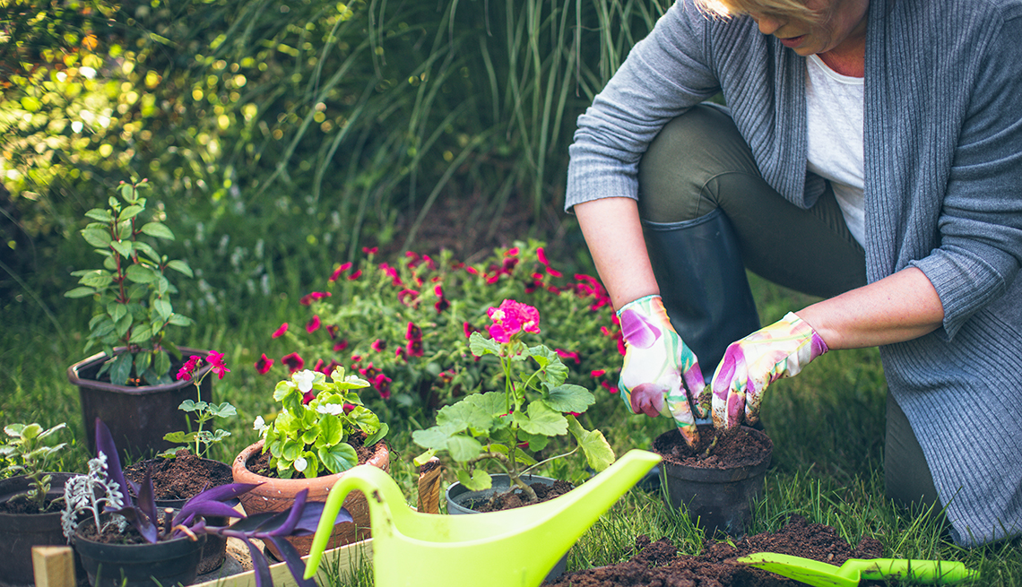 8 Tips Berkebun untuk Mengisi Waktu Luang #dirumahaja selama PSBB Covid-19