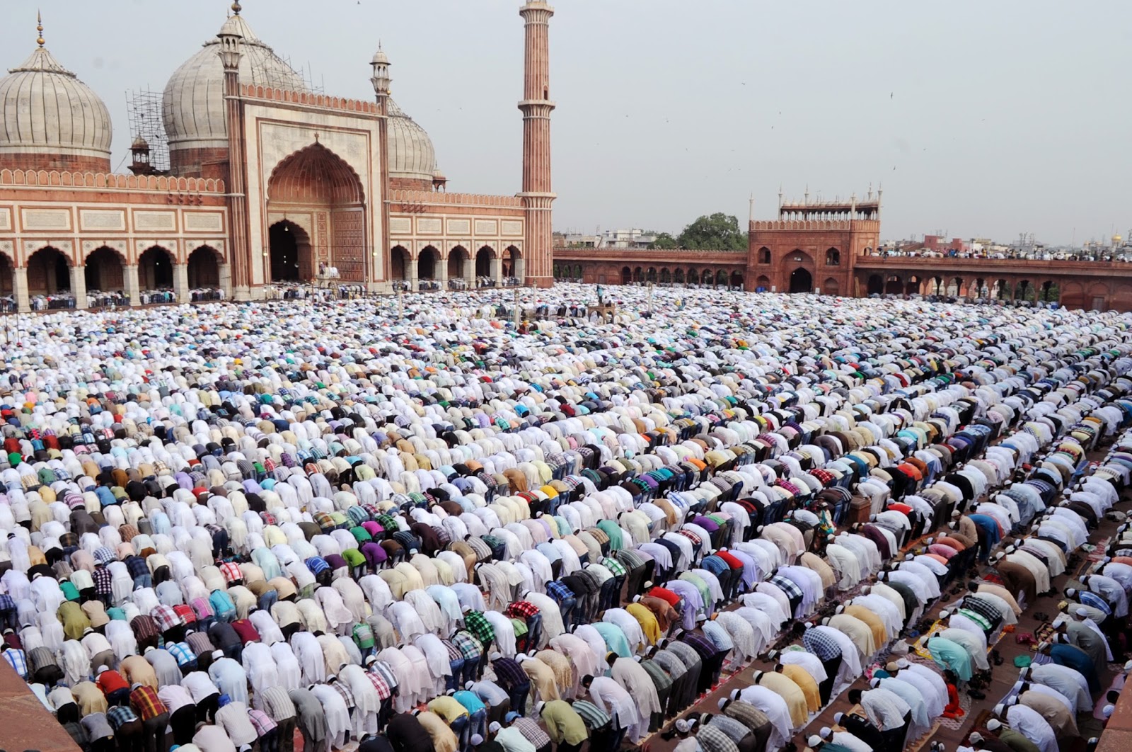 Tata Cara Salat Idul Fitri di Rumah selama Pandemi Covid-19 Berdasarkan Fatwa MUI