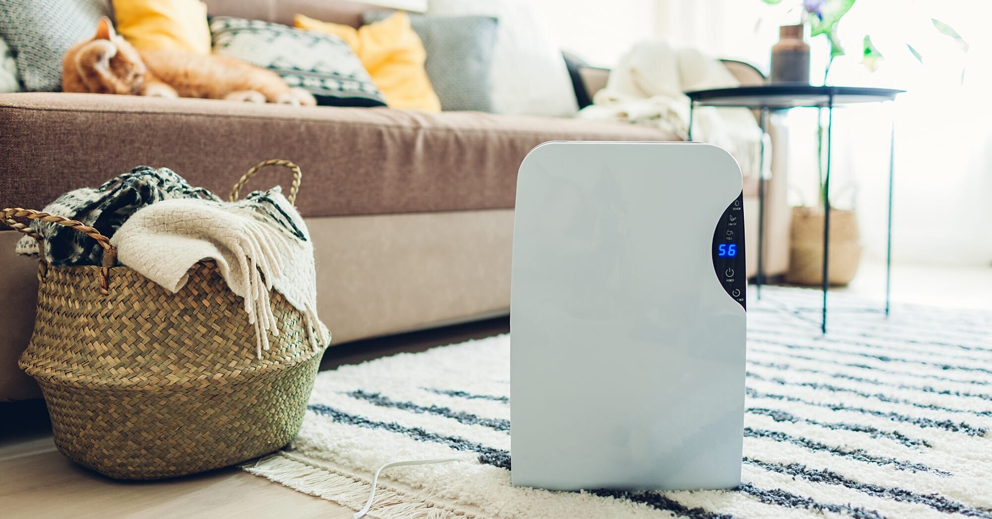 Apakah Air Purifier Bisa Melindungi Kita dari Coronavirus? Ketahui 7 Faktanya!