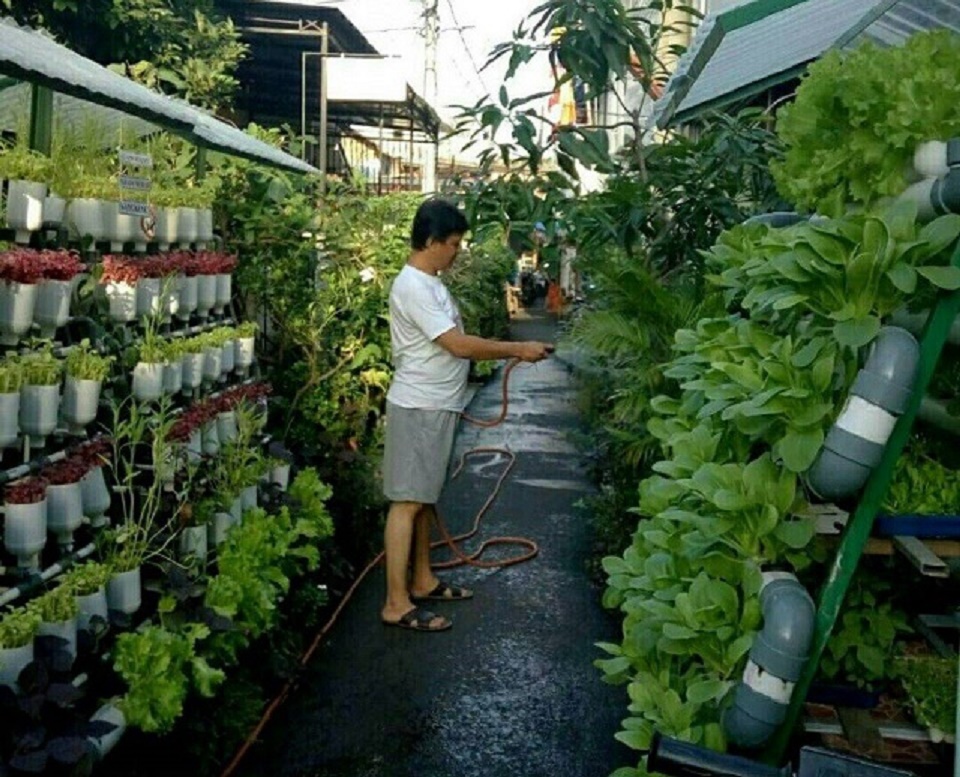 5 Toko Tanaman  dan Peralatan Berkebun Online di  Jakarta