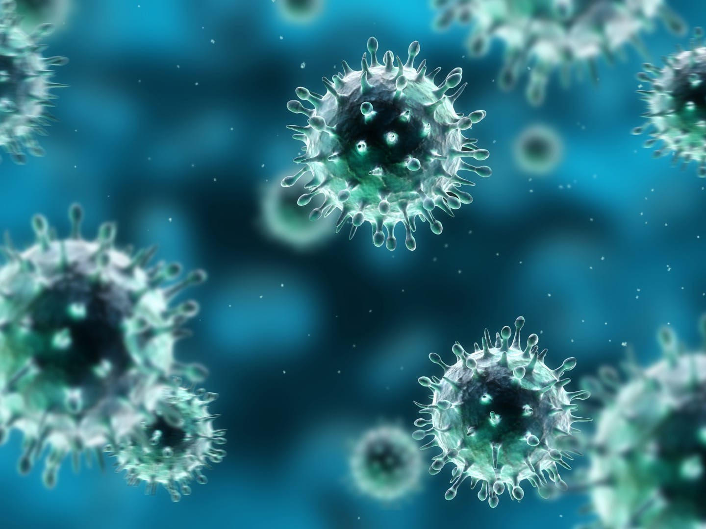 virus flu babi