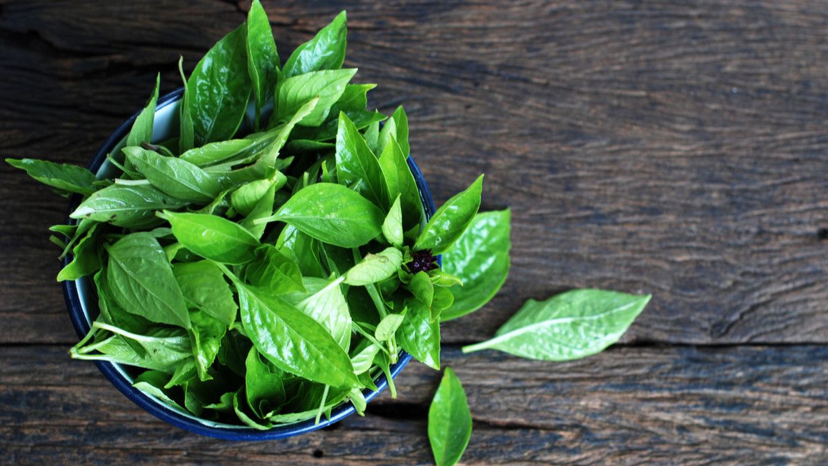 kemangi - sayur bisa ditanam ulang