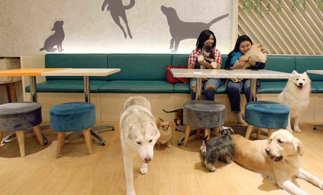 5 Cafe Anjing dan Cafe Kucing Menggemaskan di Bandung dan Jakarta