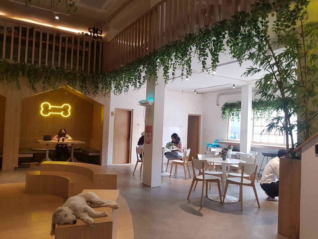 5 Cafe Anjing dan Cafe Kucing Menggemaskan di Bandung dan Jakarta