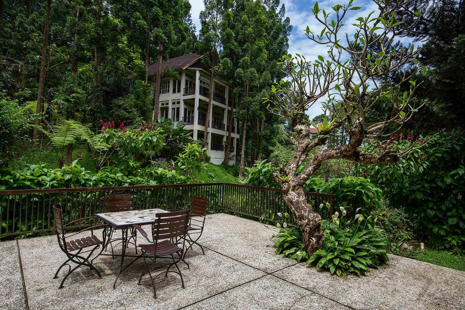 7 Hotel Instagramable di Bogor untuk Staycation dan Recharge Energi