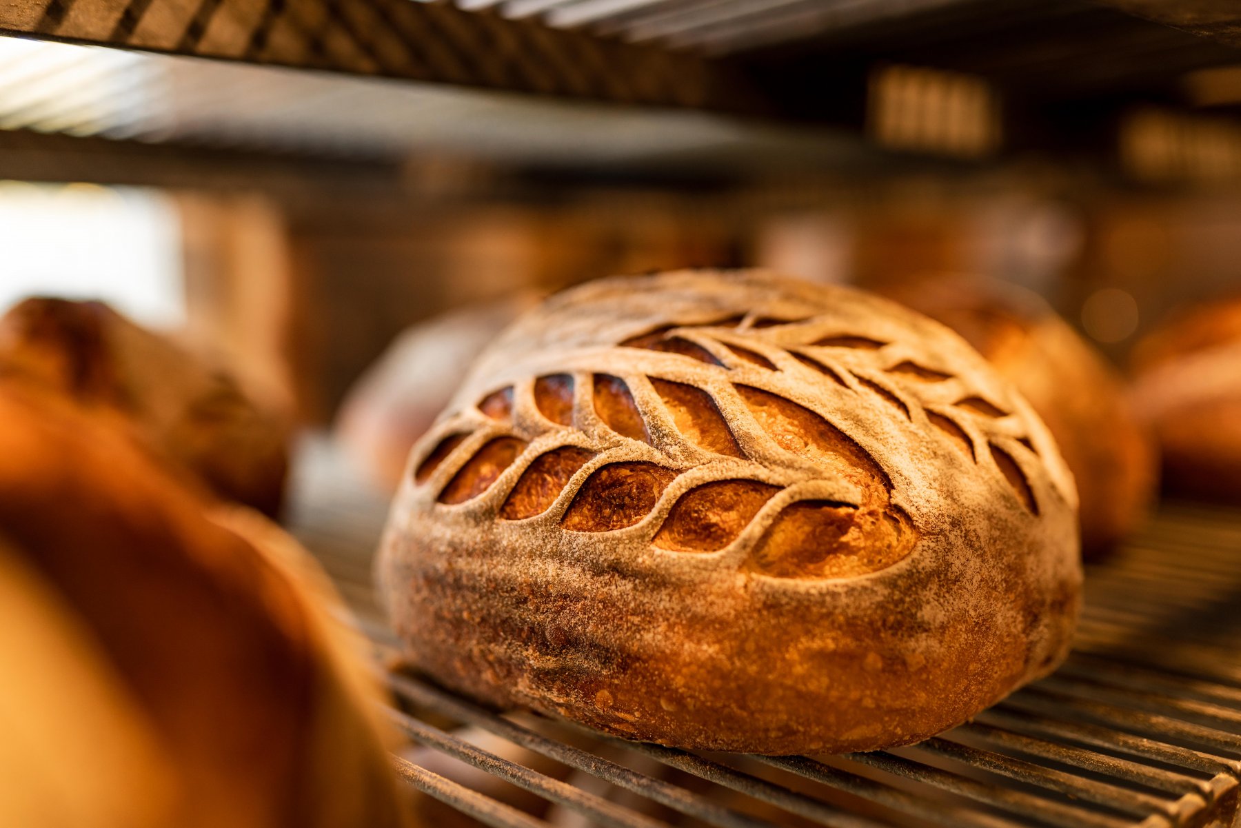 5 Fakta Roti Sourdough yang Diduga Haram karena Memabukkan | Ada Cara Bikin Starternya!
