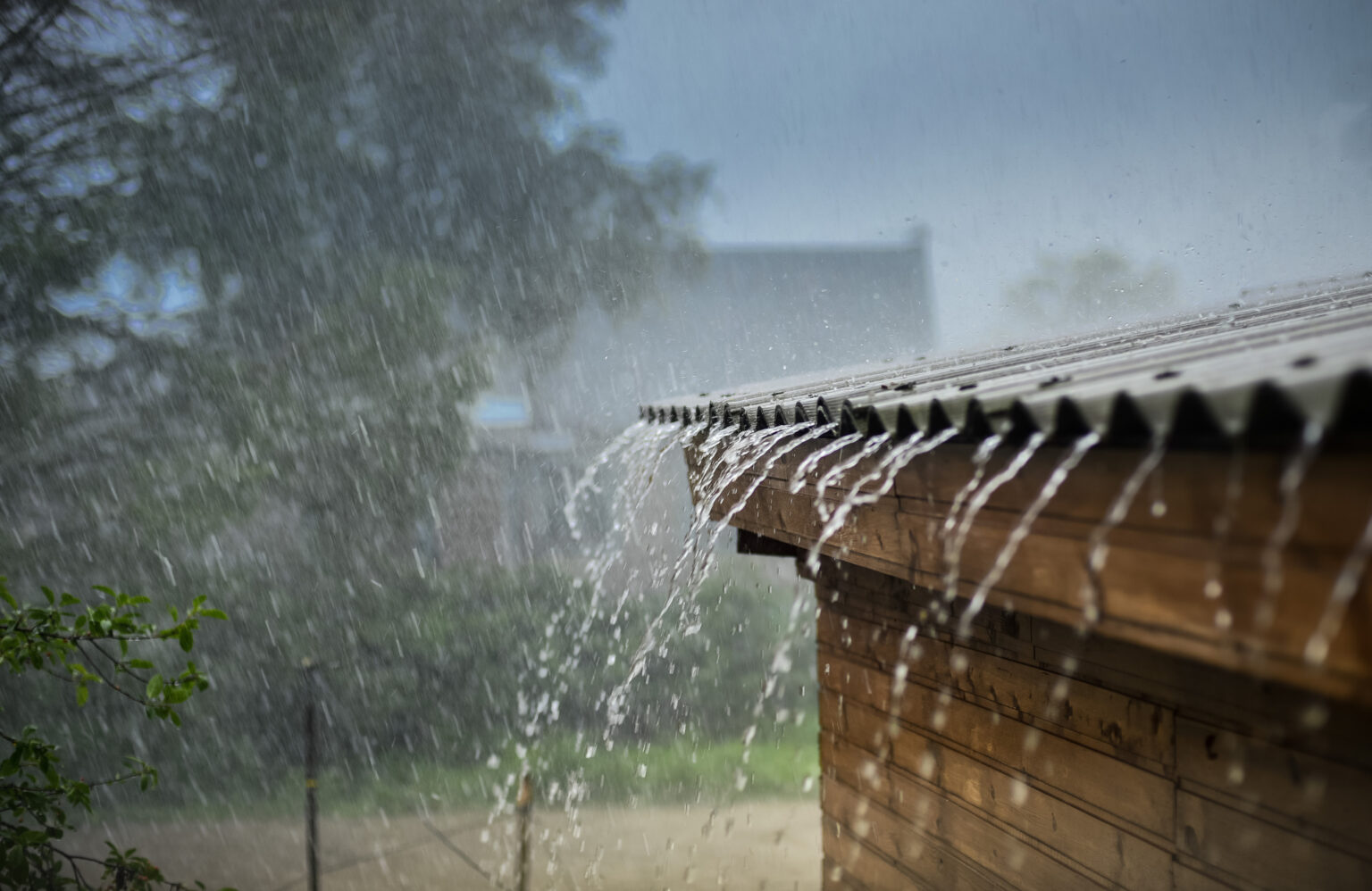 5 Cara Antisipasi Penyakit Musim Hujan Dengan Mudah Rukita