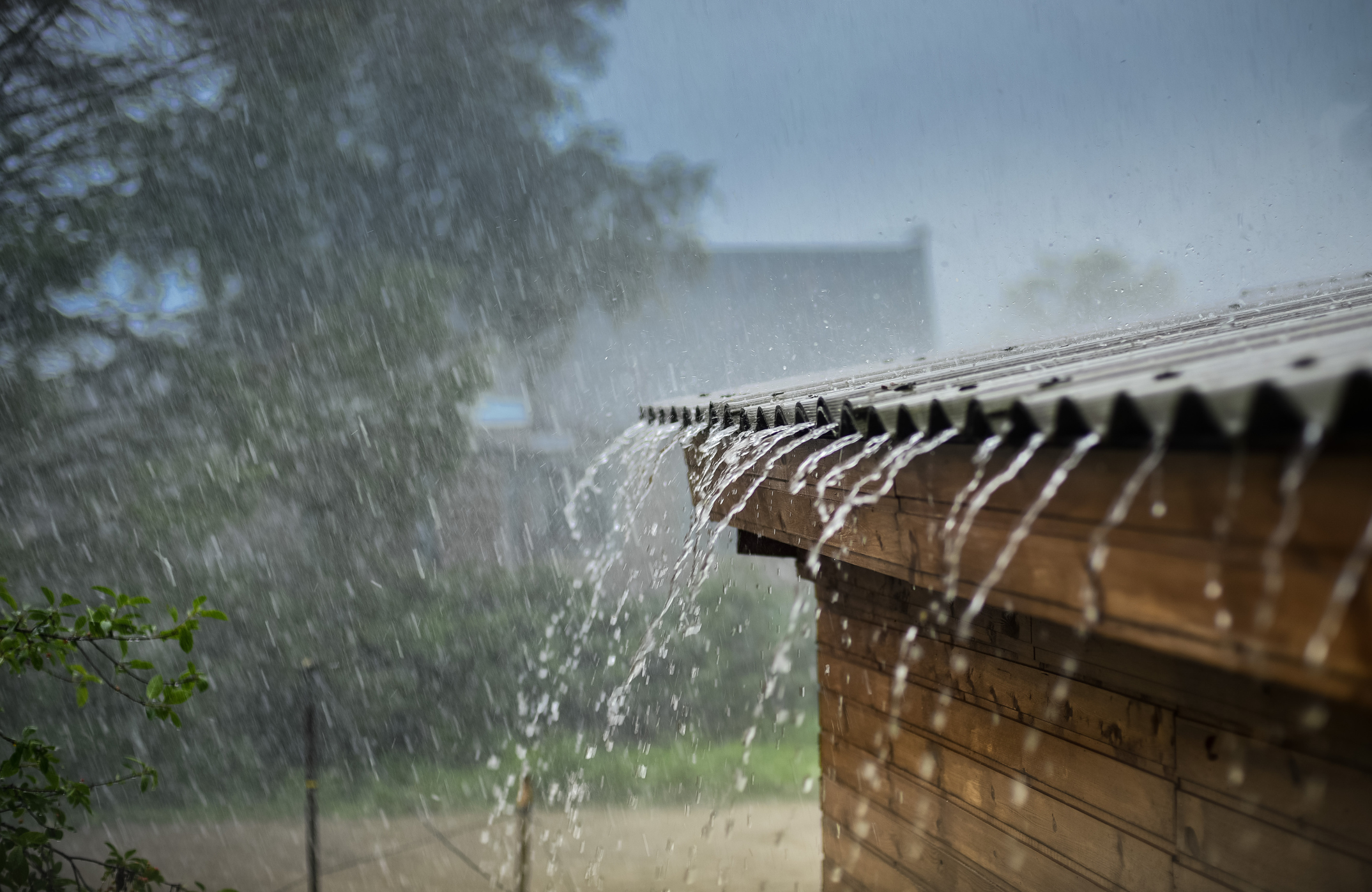 5 Cara Antisipasi Penyakit Musim Hujan dengan Mudah
