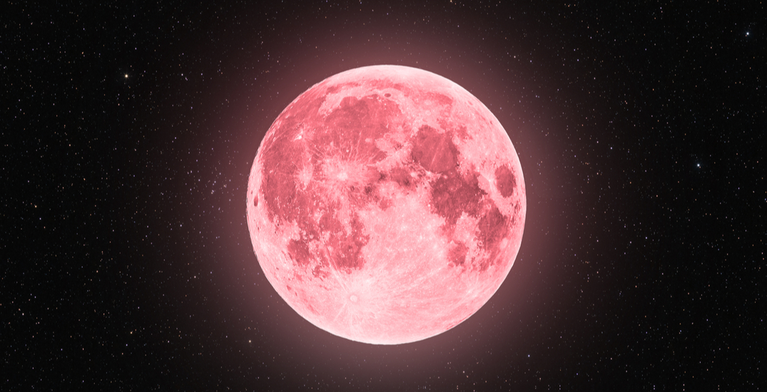 7 Fakta Supermoon Pink Moon | Bulan Purnama Terbesar di Tahun Ini!