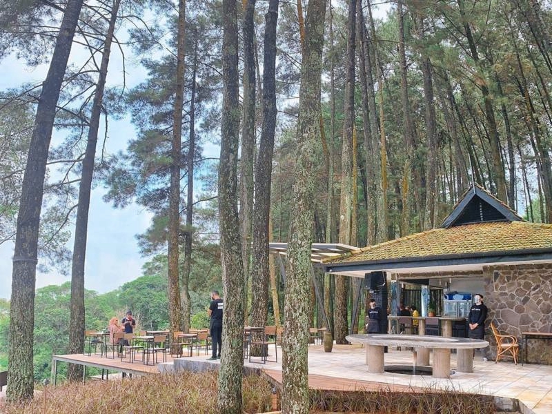 6 Kafe di Tengah Hutan, Ngopi Asyik dengan View yang Keren Banget!