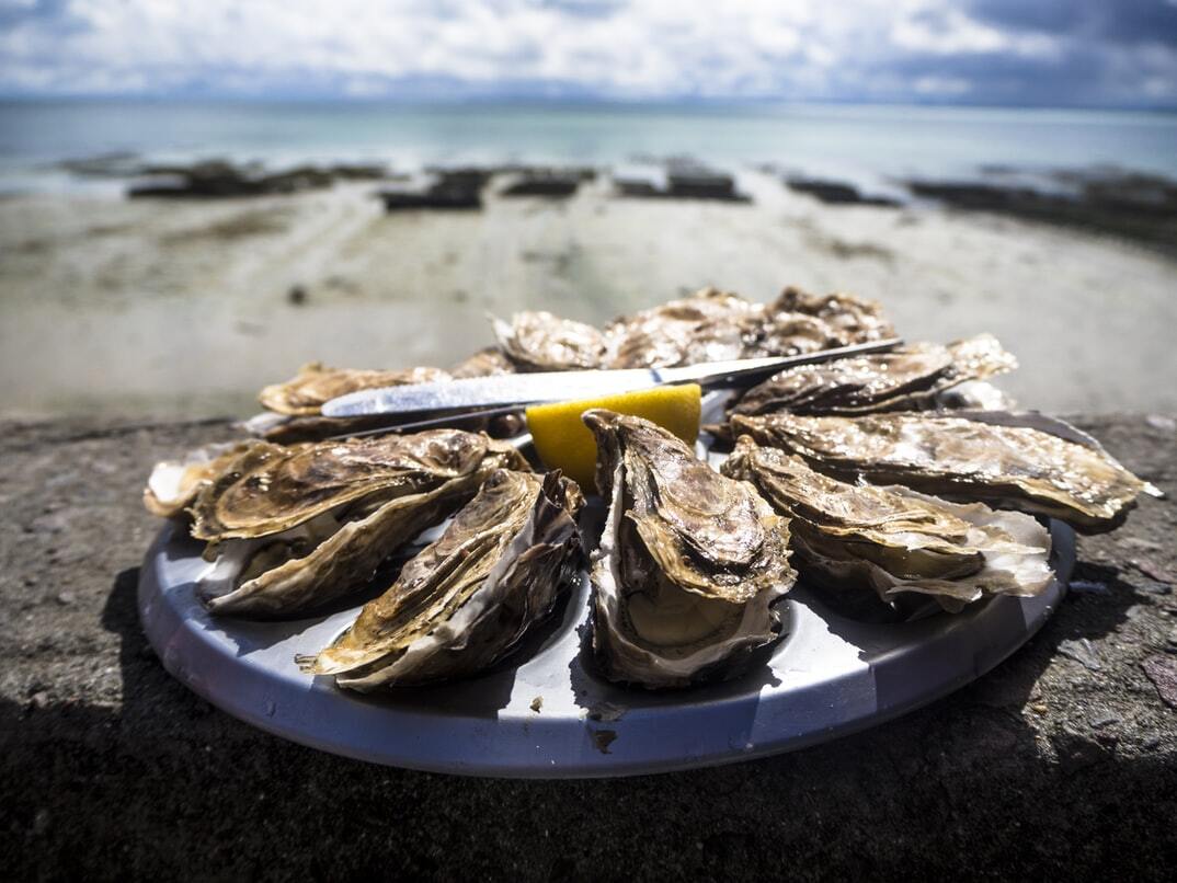 Coba Kuliner Anti Mainstream, Kunjungi 5 Restoran Oyster di Jakarta Ini, Yuk!