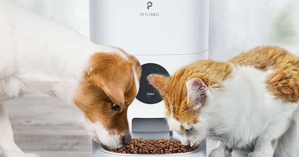 8 Pilihan Tempat Makan dan Minum buat Anjing dan Kucing Kesayangan | Ada yang Pakai Wi-Fi!