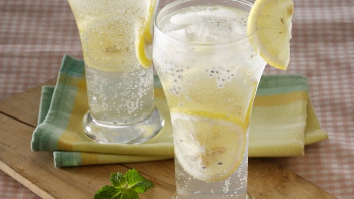 resep minuman kekinian 2022 lemon squash
