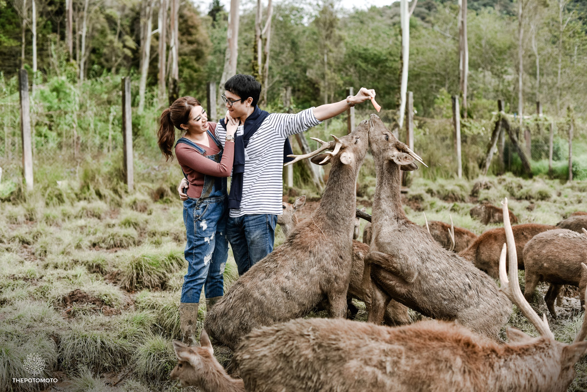 lokasi-foto-prewedding-di-bogor