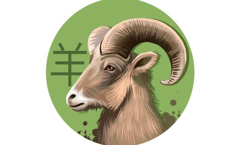 Ketahui Nasibmu, Ini Dia Ramalan Lengkap untuk Shio Kambing di Tahun 2022!