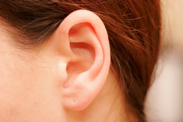 penyebab telinga berdengung