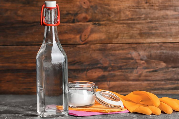obat alergi dingin alami cuka