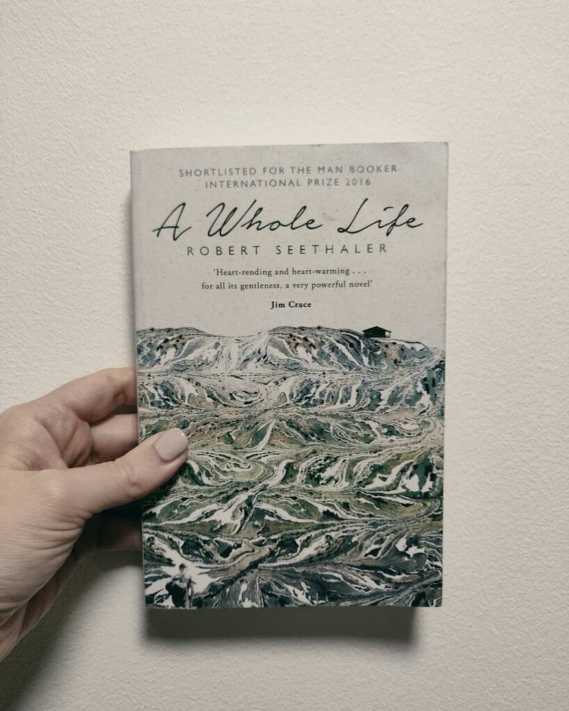 novel singkat