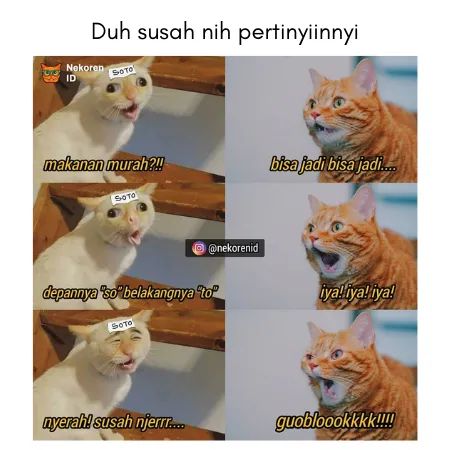 Banyak Tingkah, 13 Foto Kucing Oren yang Bikin Kamu Ngakak - Rukita