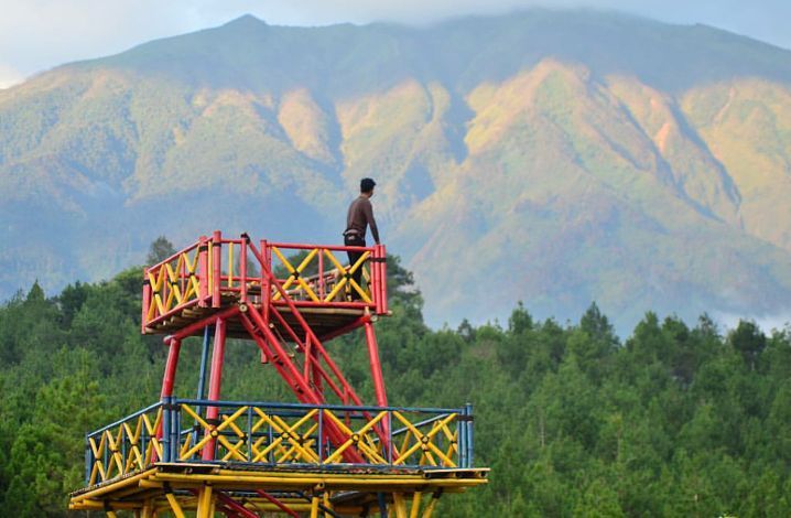 wisata kopeng - Top Selfie Pinusan Kragilan