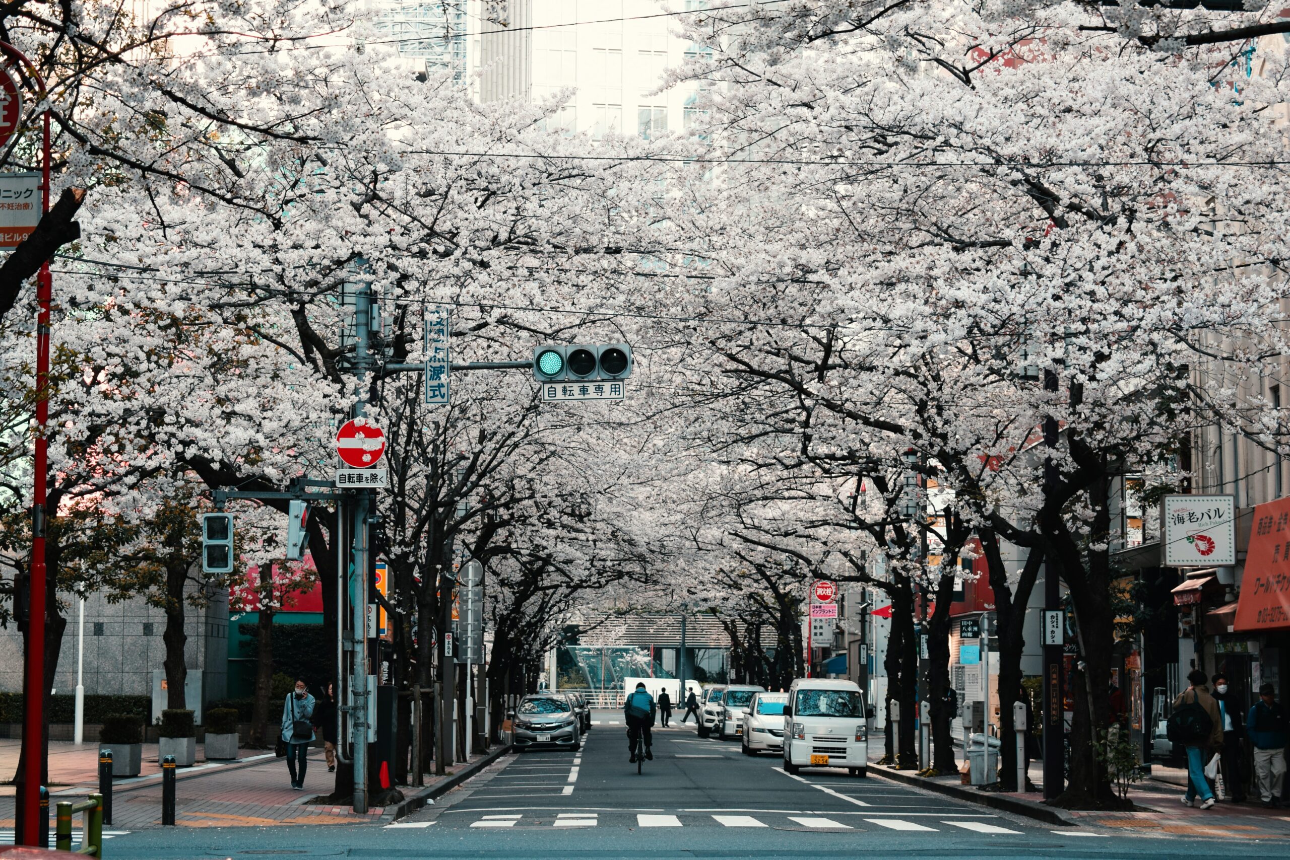 9 Tips Membuat Budget Travel ke Jepang yang Terjangkau