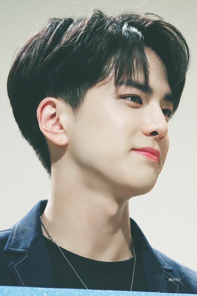 model rambut cowok