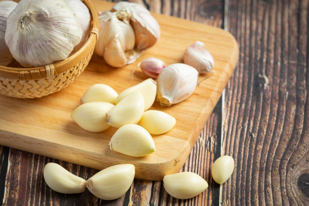 bawang putih efektif membunuh bakteri Salmonella typhi