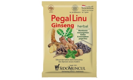 Obat Sakit Badan