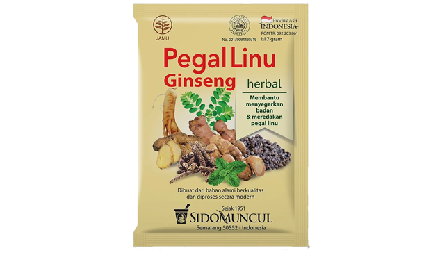 obat sakit badan