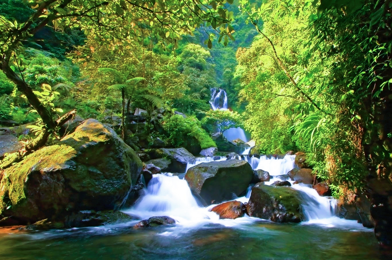 Menikmati Keseruan Curug Ciherang di Bogor | Tidak Hanya Wisata Air Terjun