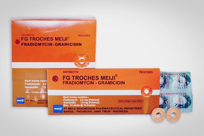 FG Troches Bikin Tubuh Kebal Antibiotik? Cek Kebenaran dan Fakta Lengkapnya!