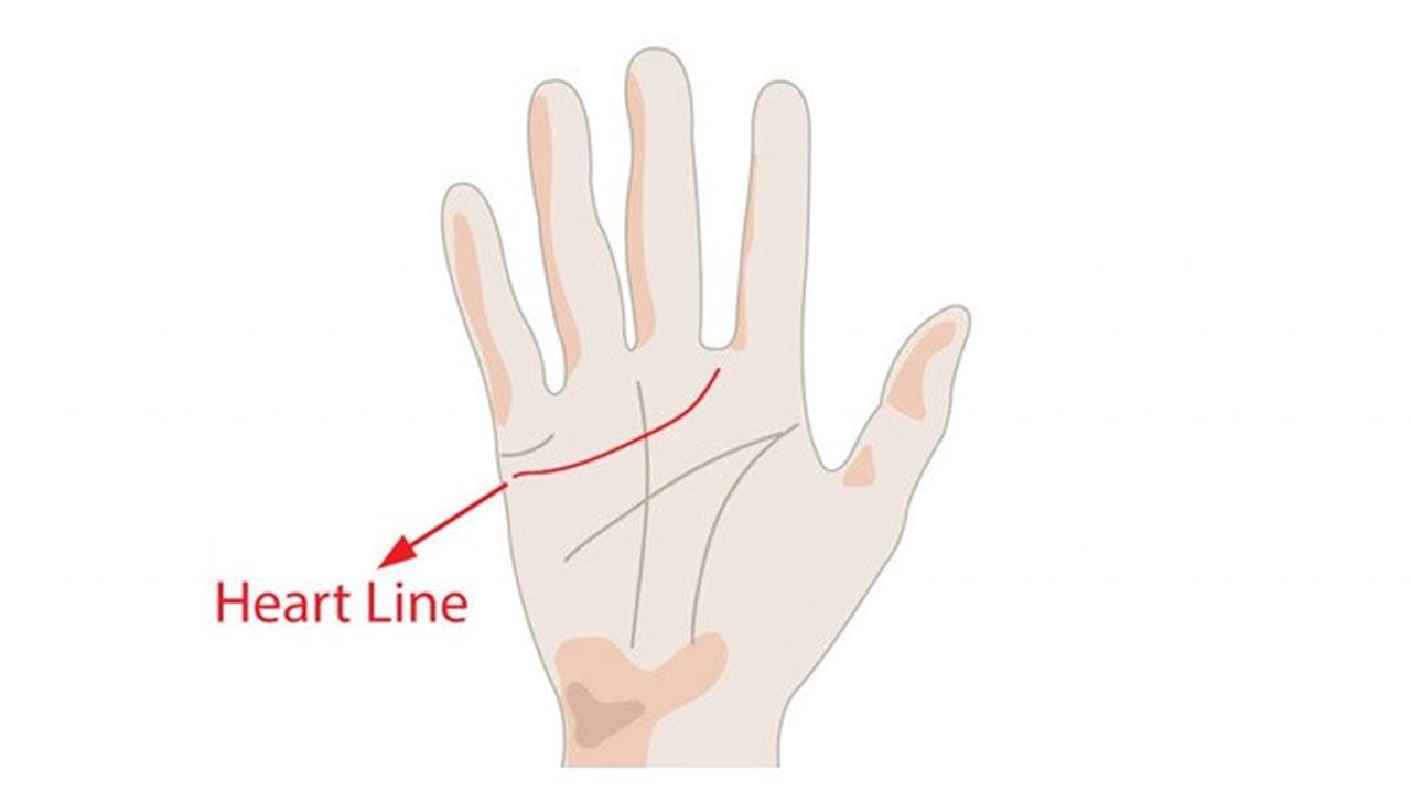 Cara Membaca Garis Tangan dan Artinya | Ketahui Nasib dan Karakter!